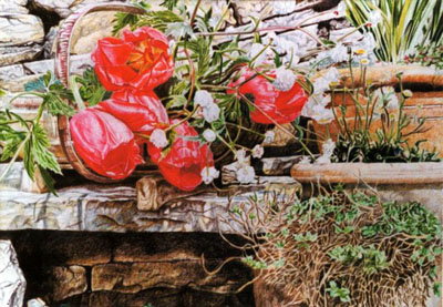 Ref.G09: Garden still life